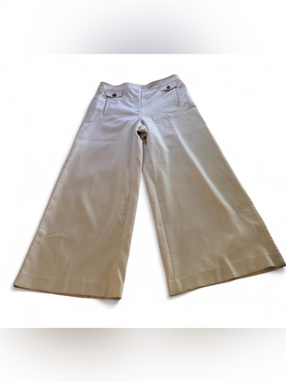 Ann Taylor Wide Leg Pants in Light Beige